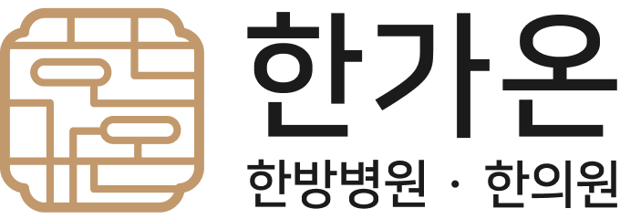 가로형 로고